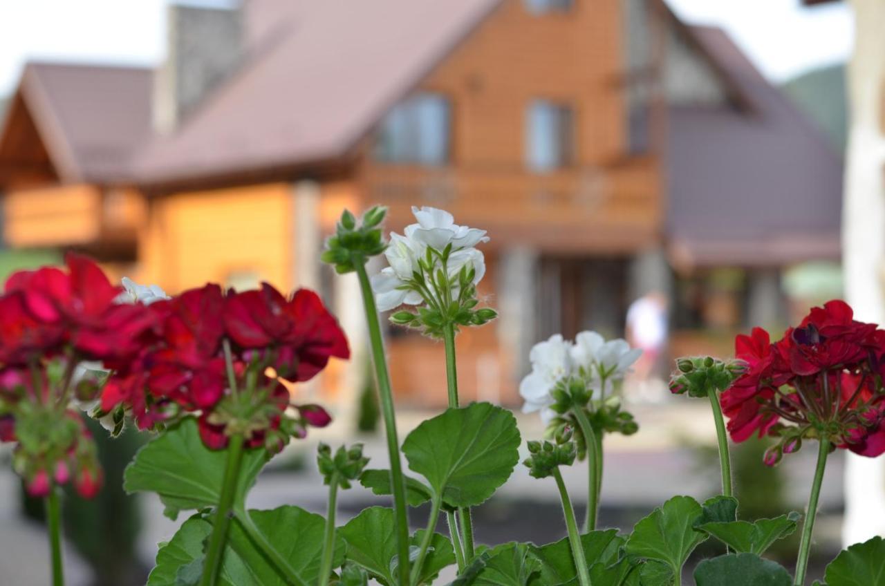 Готель Sribni Rosy Микуличин Екстер'єр фото